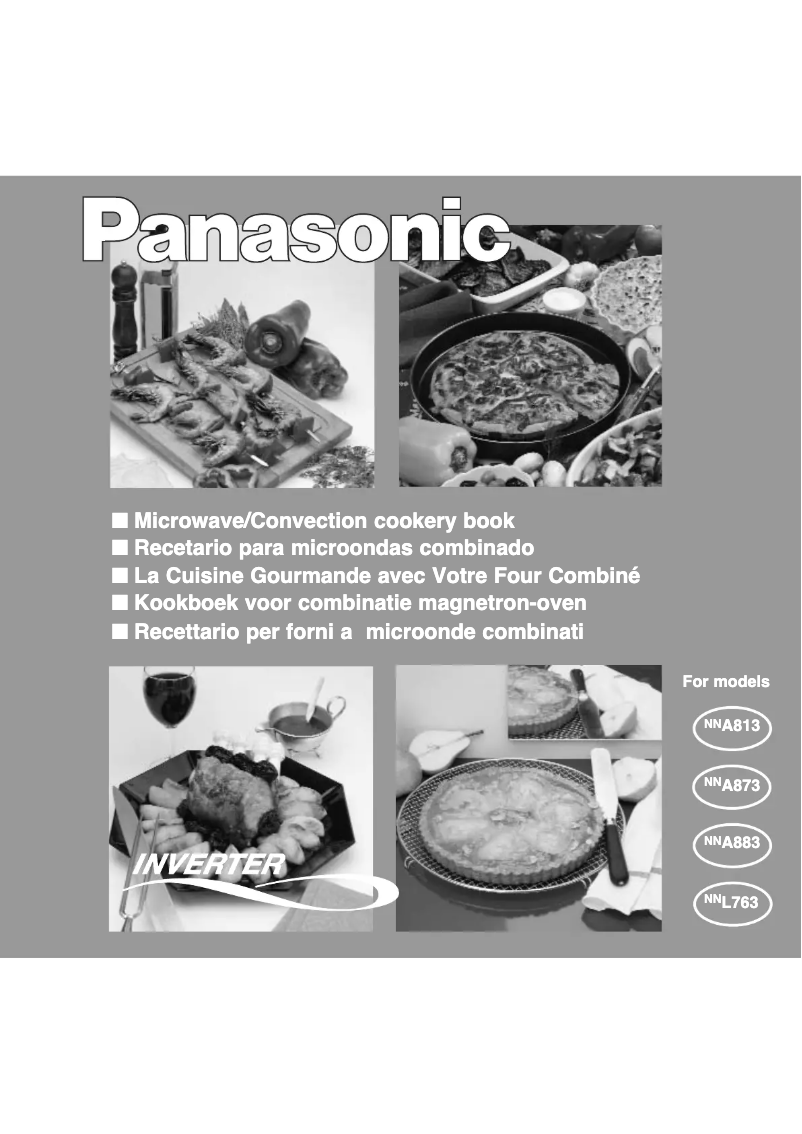 Página 1 del manual Manual de usuario Panasonic NNA873