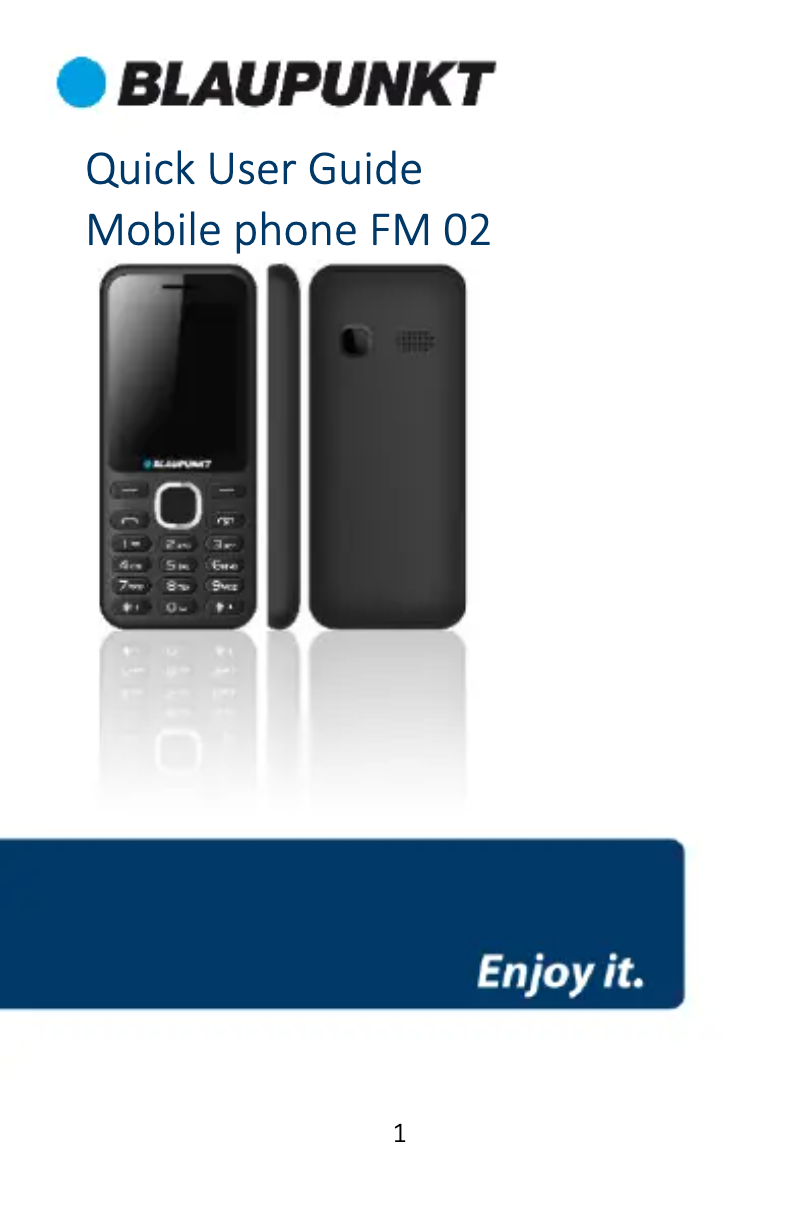 Page 1 de la notice Manuel utilisateur Blaupunkt FM 02