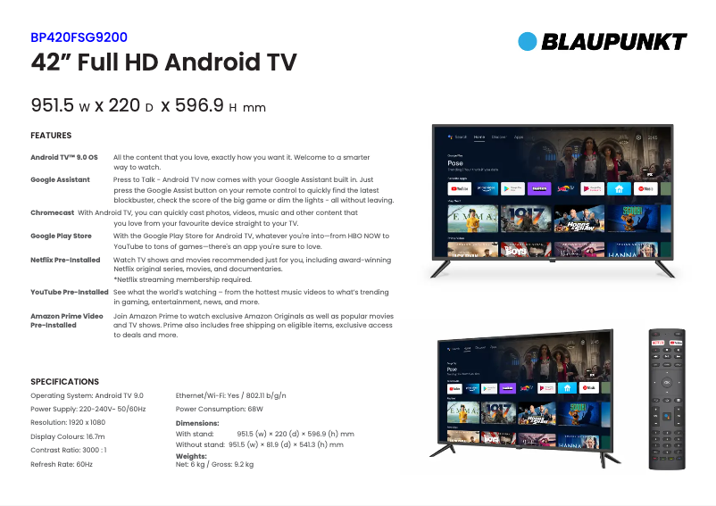 Página 1 del manual Ficha técnica Blaupunkt BP420FSG9200