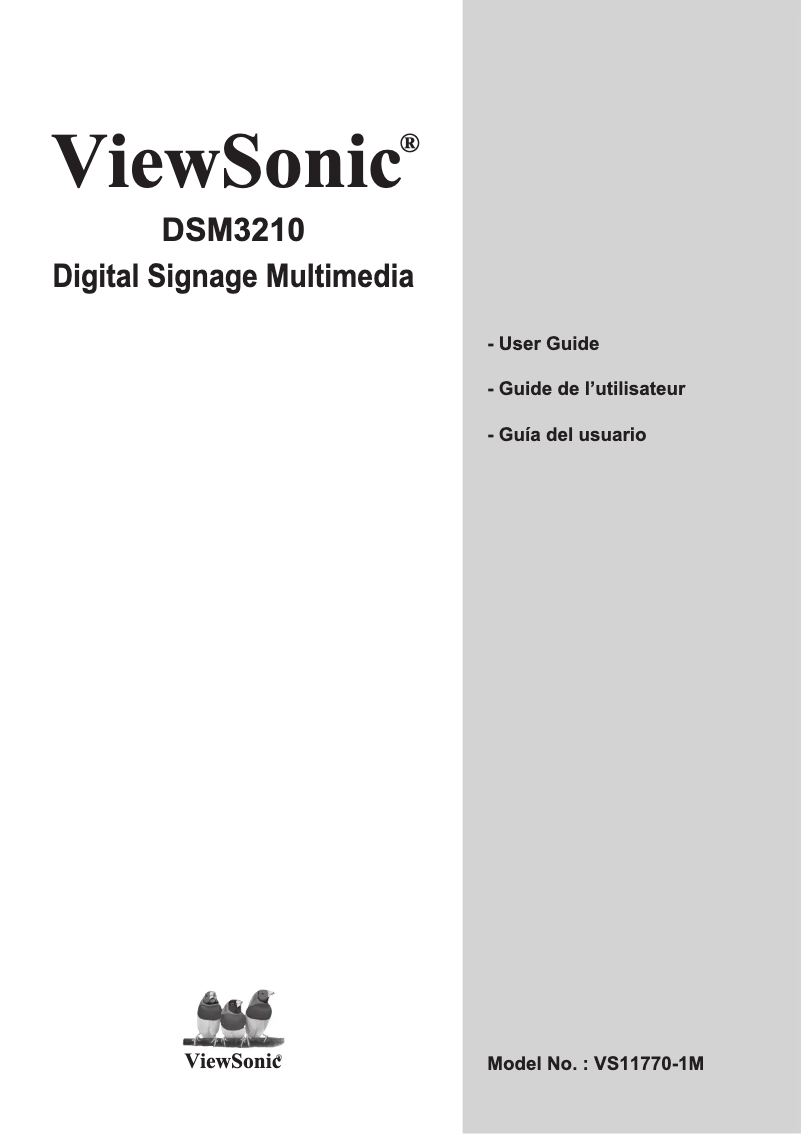 Página 1 del manual Manual de usuario Viewsonic DSM3210