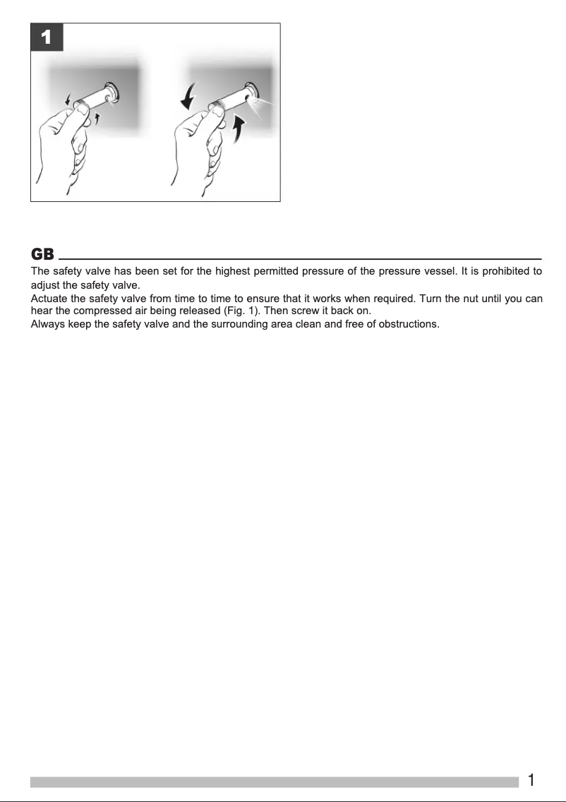 Página 1 del manual Instrucciones de seguridad Stanley DN 200/8/6