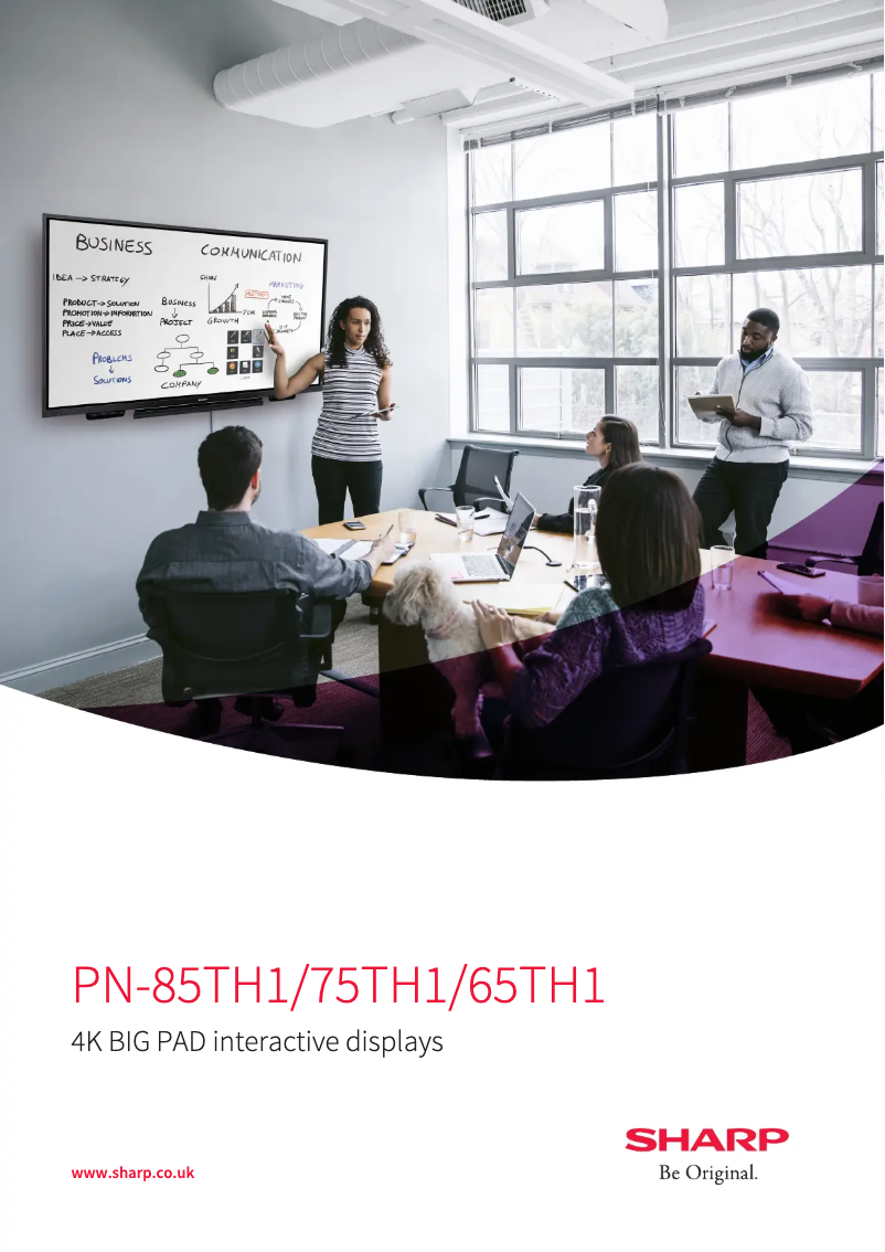 Page 1 de la notice Brochure Sharp PN-65TH1