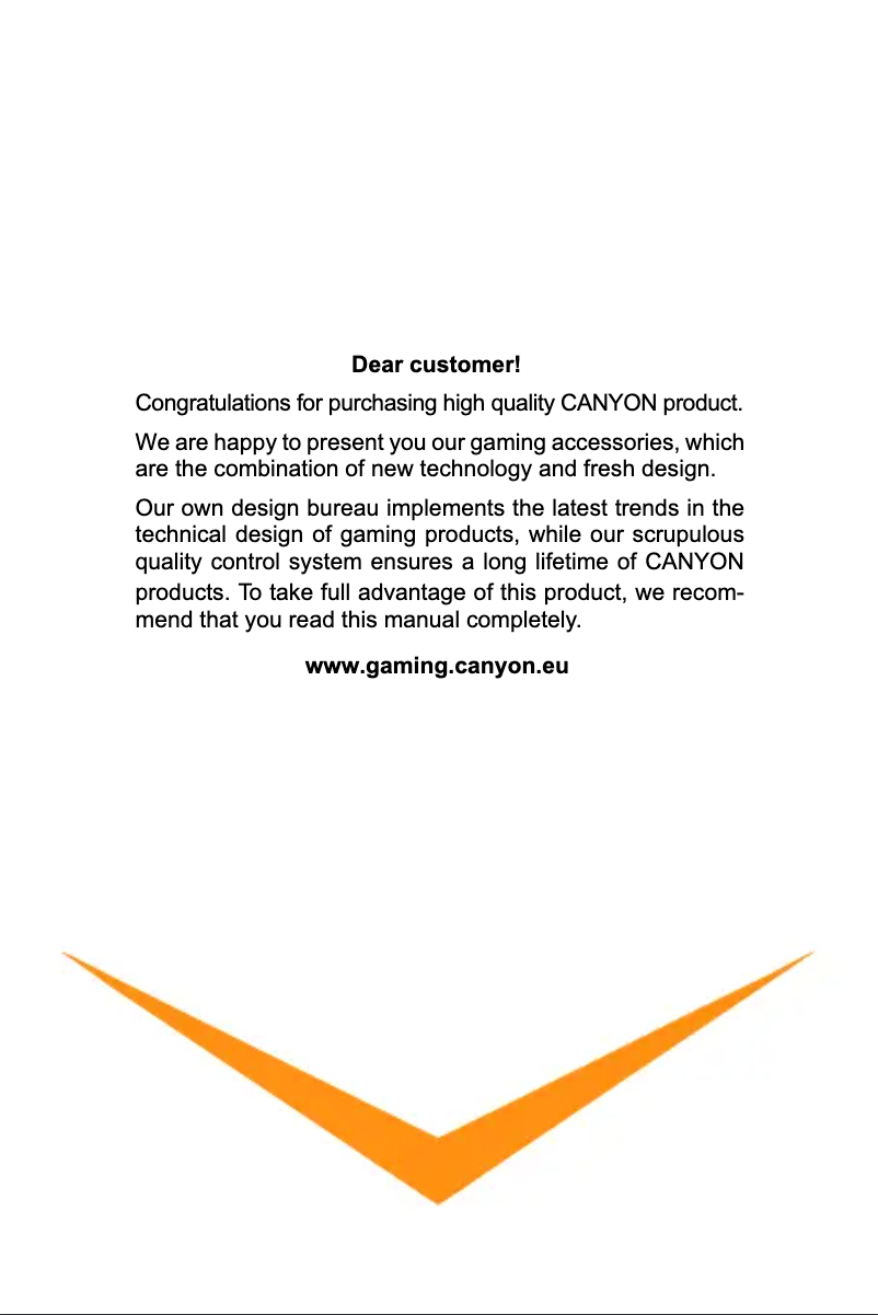 Page 1 de la notice Manuel utilisateur Canyon Puncher GM-20