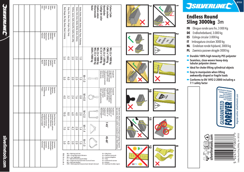 Page 1 de la notice Manuel utilisateur Silverline 307533