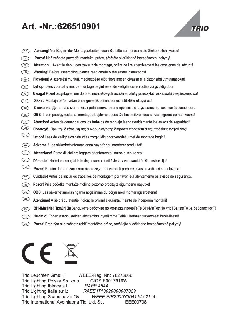 Page 1 de la notice Manuel utilisateur Trio Lighting Gonzalo
