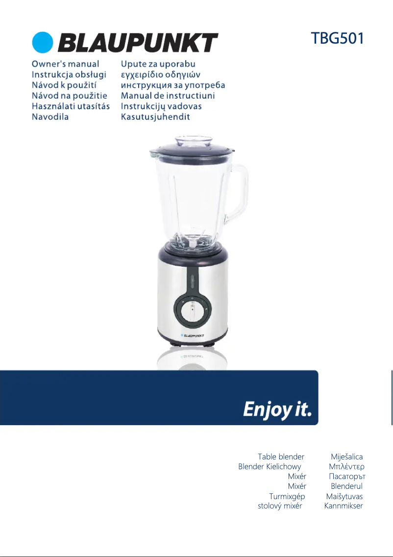 Page 1 de la notice Manuel utilisateur Blaupunkt TBG501