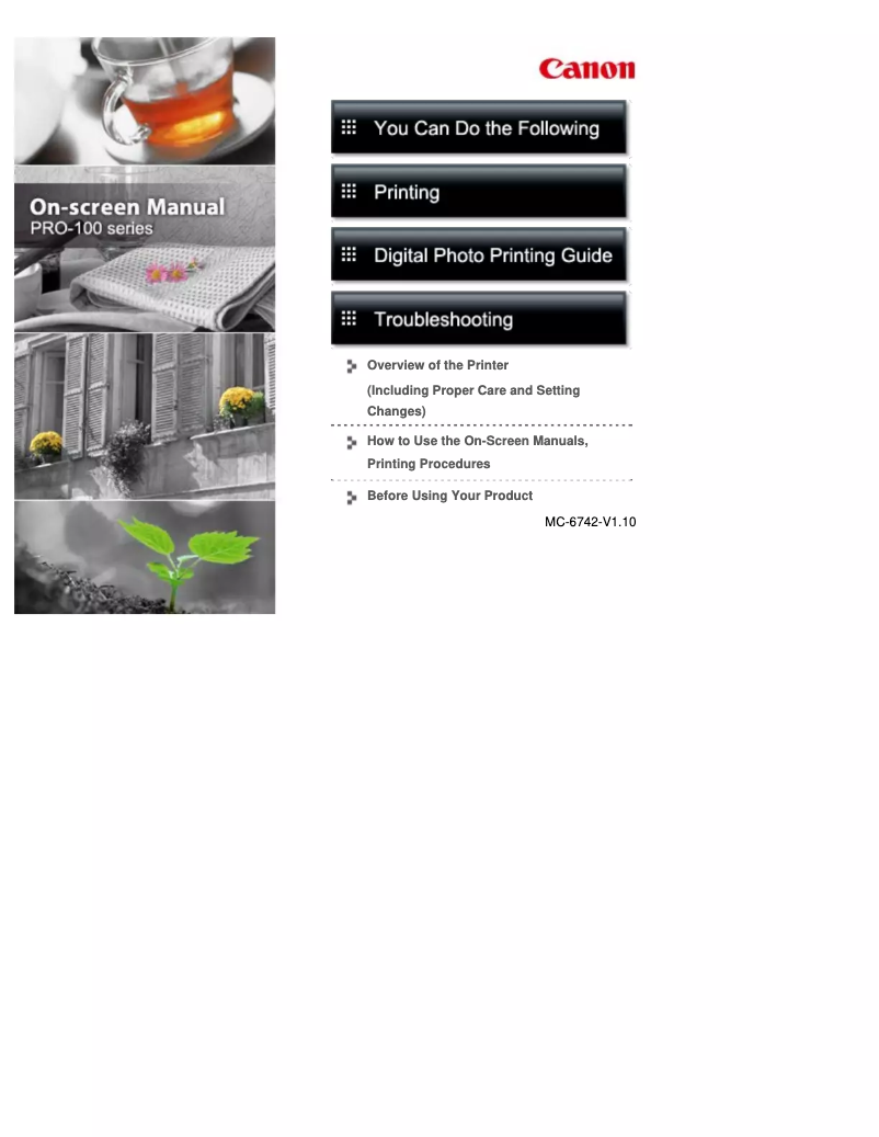 Page n°1 - Manuel utilisateur Canon Pixma Pro 100