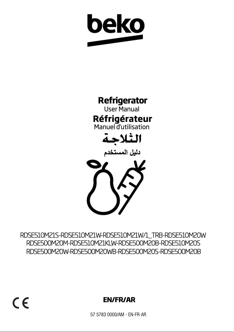 Image de la première page du manuel de l'appareil RDSE500M20W