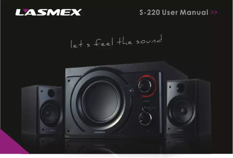 Page n°1 - Manuel utilisateur Lasmex S-220