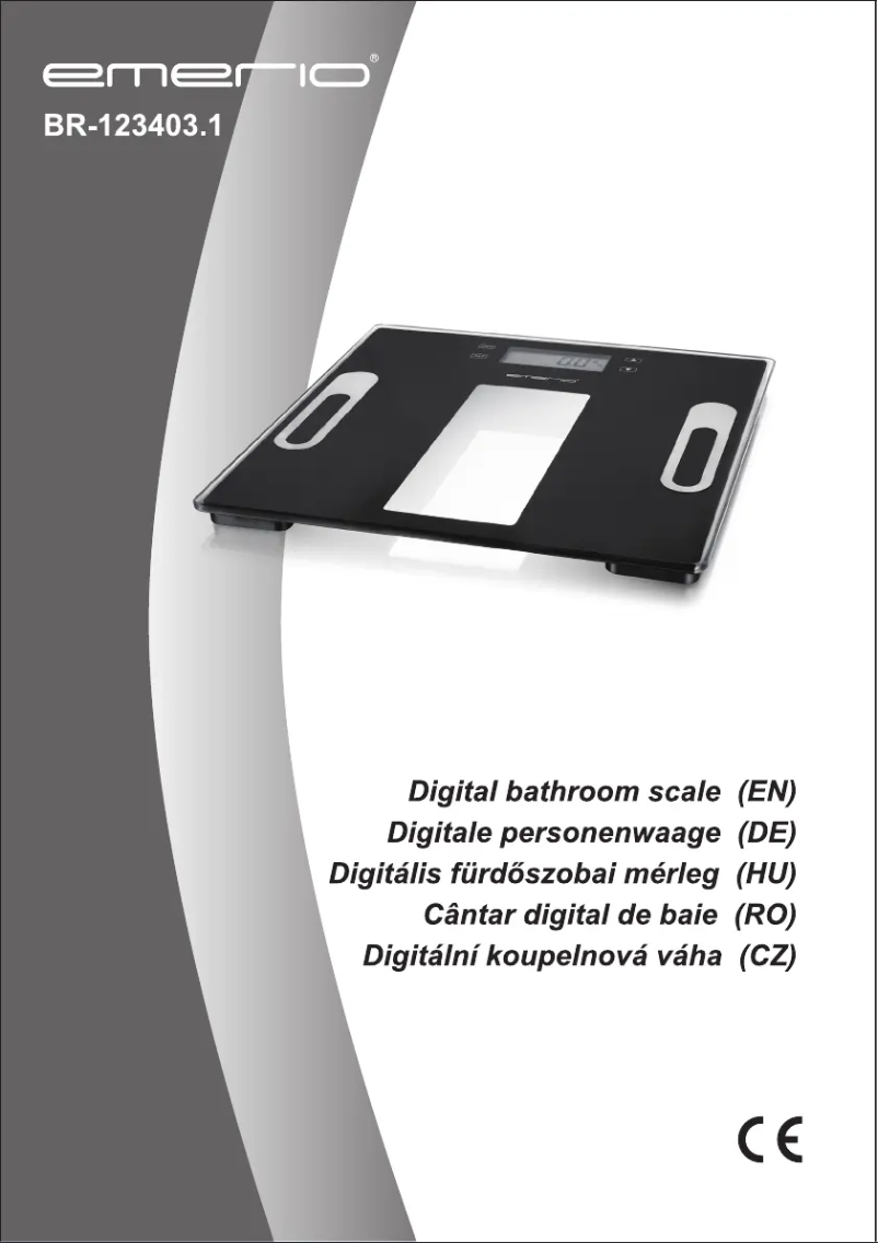 Image de la première page du manuel de l'appareil BR-123403.1