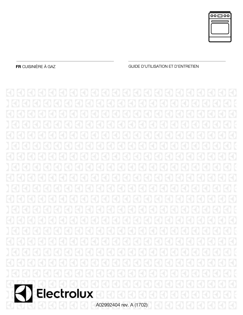 Image de la première page du manuel de l'appareil EI30GF45QS