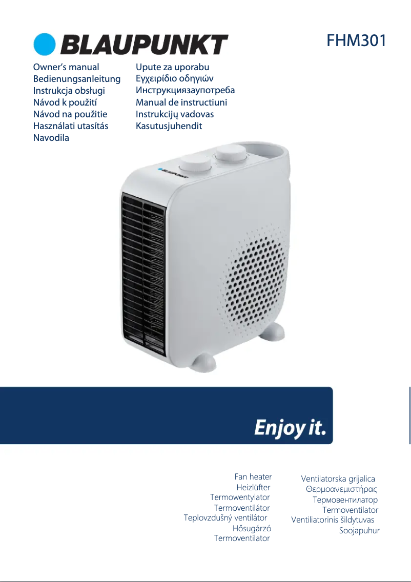 Page 1 de la notice Manuel utilisateur Blaupunkt FHM301