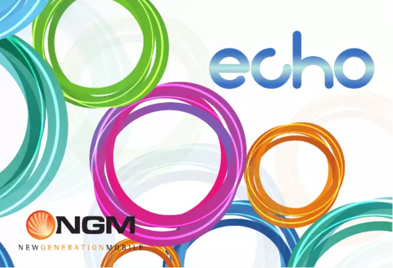 Page 1 de la notice Manuel utilisateur NGM Echo