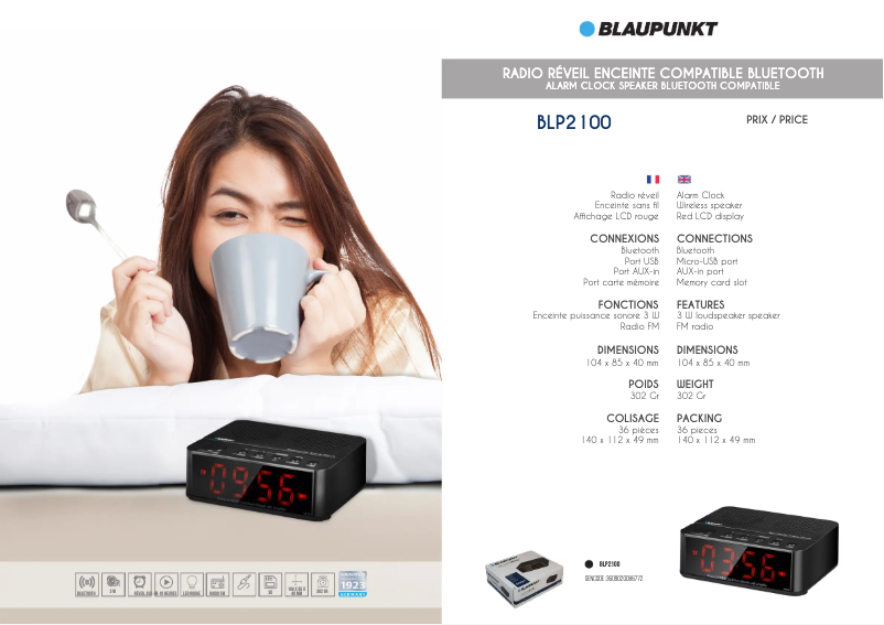 Page 1 de la notice Manuel utilisateur Blaupunkt BLP2100