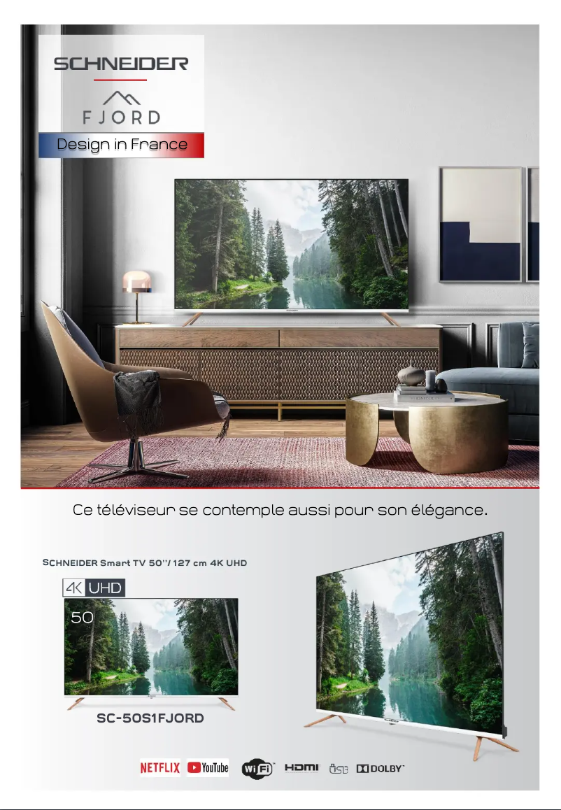 Page n°1 - Fiche technique Schneider SC-50S1FJORD