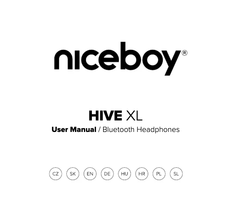 Page 1 de la notice Manuel utilisateur Niceboy HIVE XL