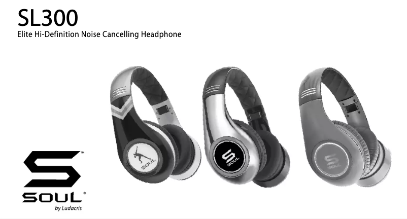 Image de la première page du manuel de l'appareil SL300MS