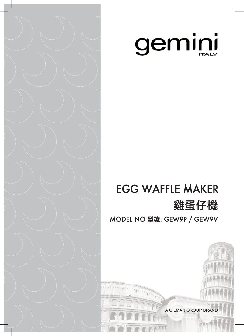 Page 1 de la notice Manuel utilisateur Gemini GEW9P