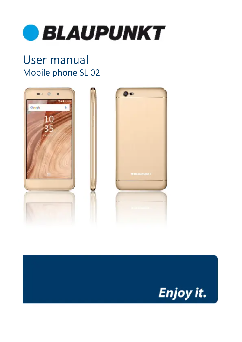Page 1 de la notice Manuel utilisateur Blaupunkt SL 02