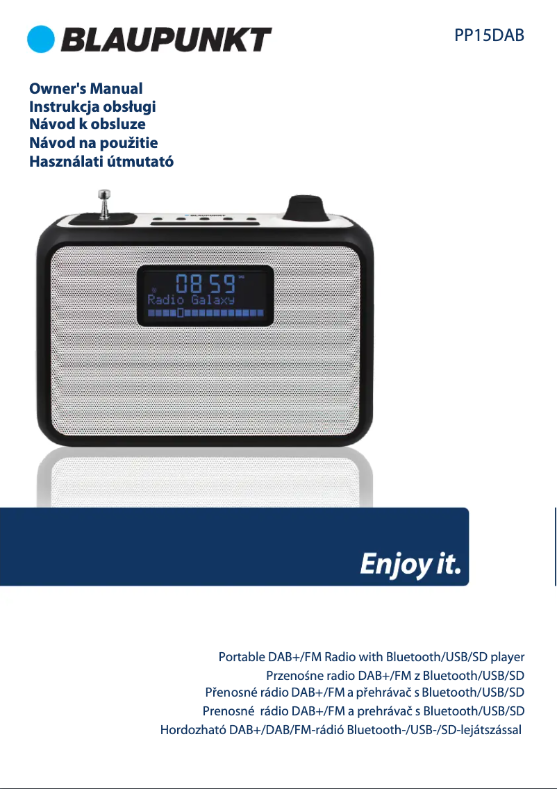 Image de la première page du manuel de l'appareil PP15DAB