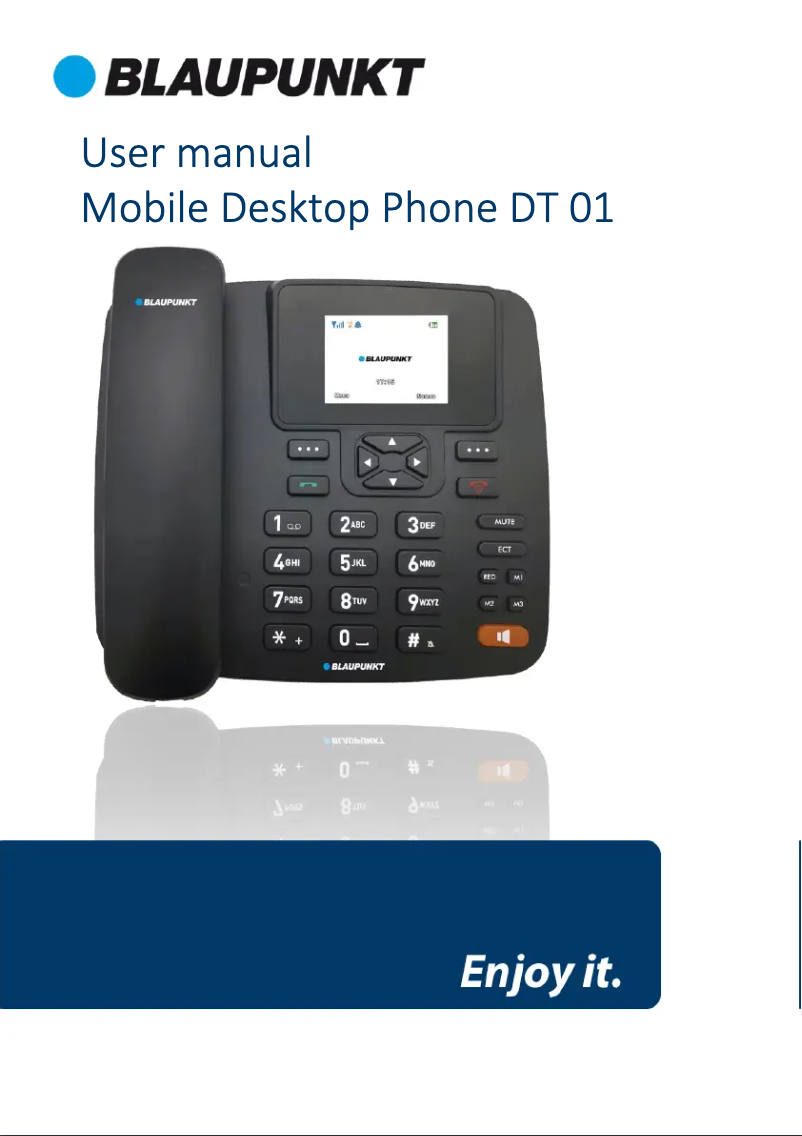 Page 1 de la notice Manuel utilisateur Blaupunkt DT 01
