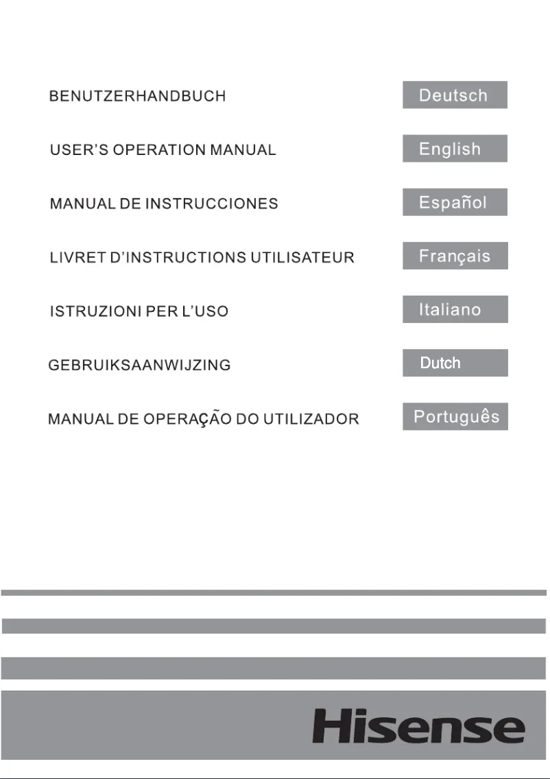 Page n°1 - Manuel utilisateur Hisense FV240N4AW1