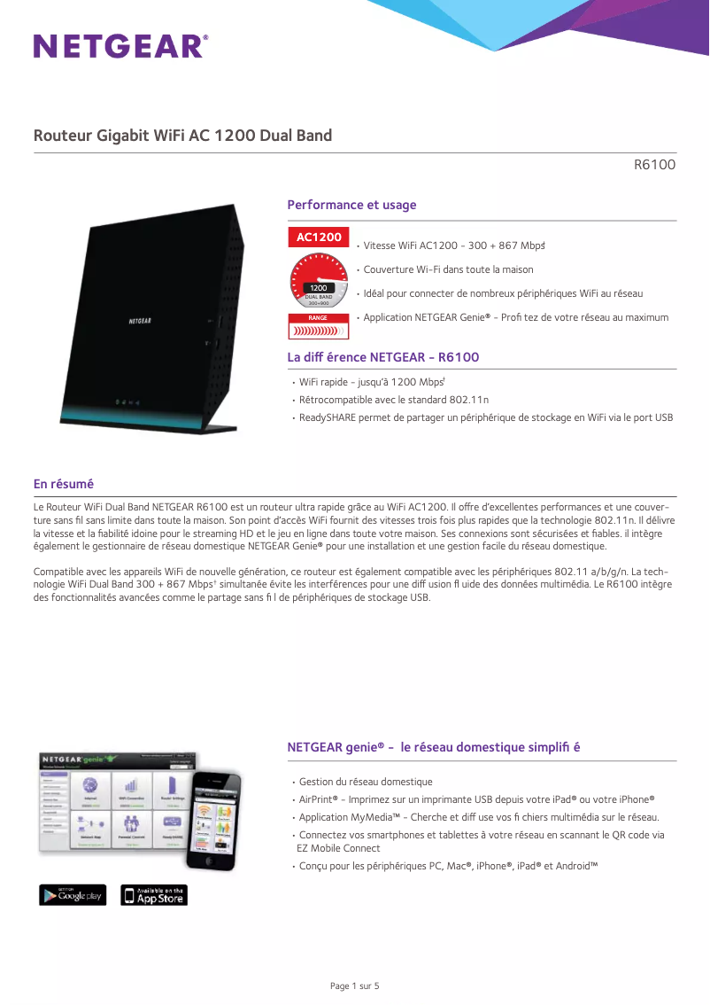 Page 1 de la notice Fiche technique Netgear R6100-100PES