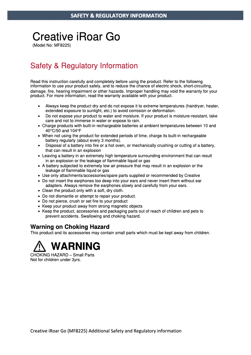 Image de la première page du manuel de l'appareil iRoar Go