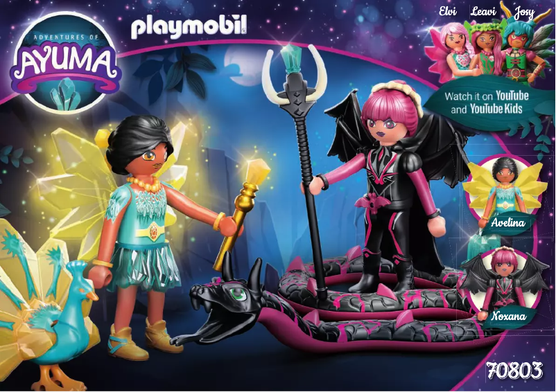 Image de la première page du manuel de l'appareil 70803