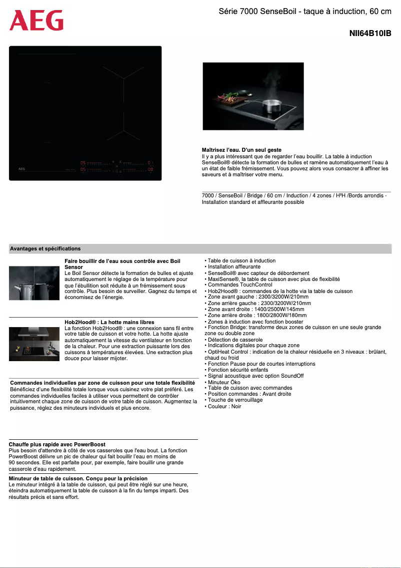 Page 1 de la notice Fiche technique AEG NII64B10IB