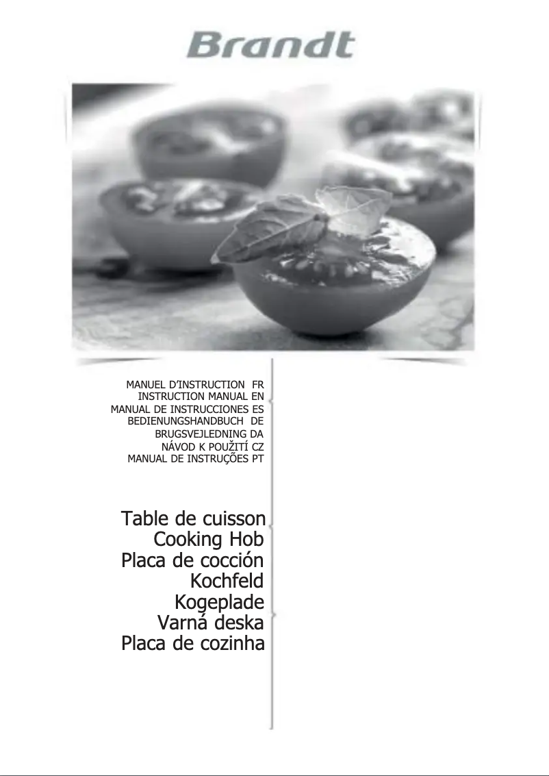 Page 1 de la notice Manuel utilisateur Brandt BPI6210B