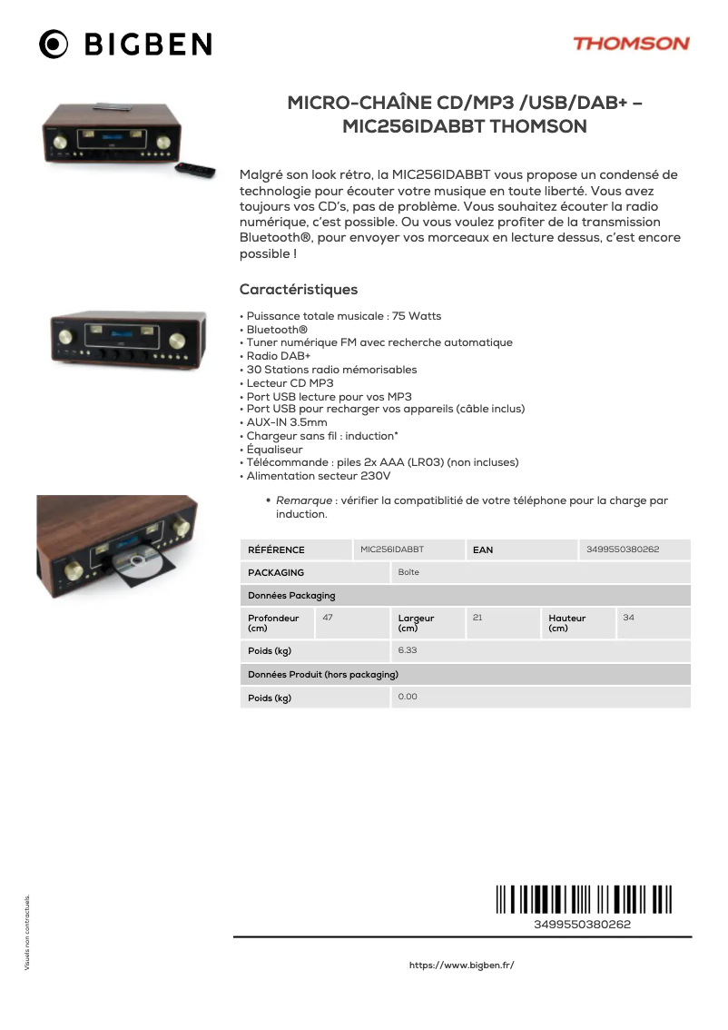 First page image of the manual for MIC256IDABBT