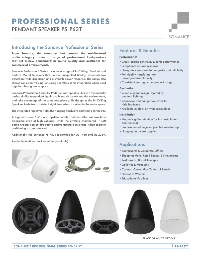 Image de la première page du manuel de l'appareil Professional PS-P63T