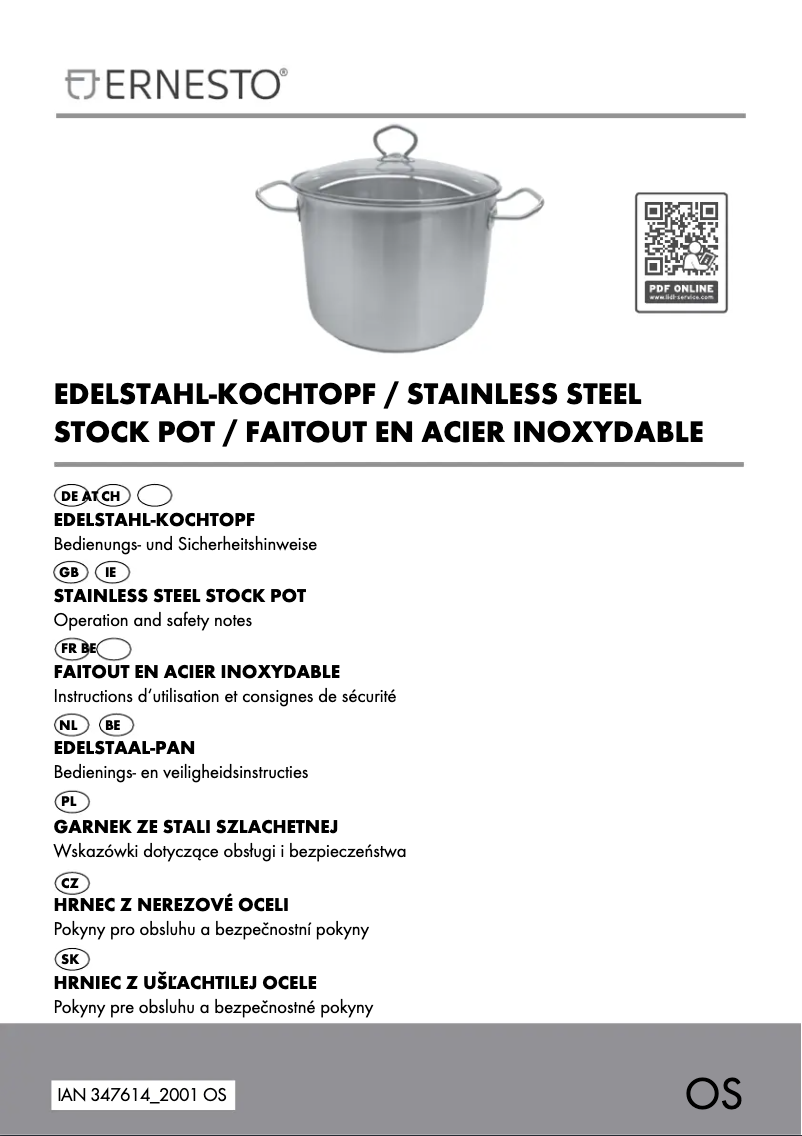 Page 1 de la notice Manuel utilisateur Ernesto HG06434