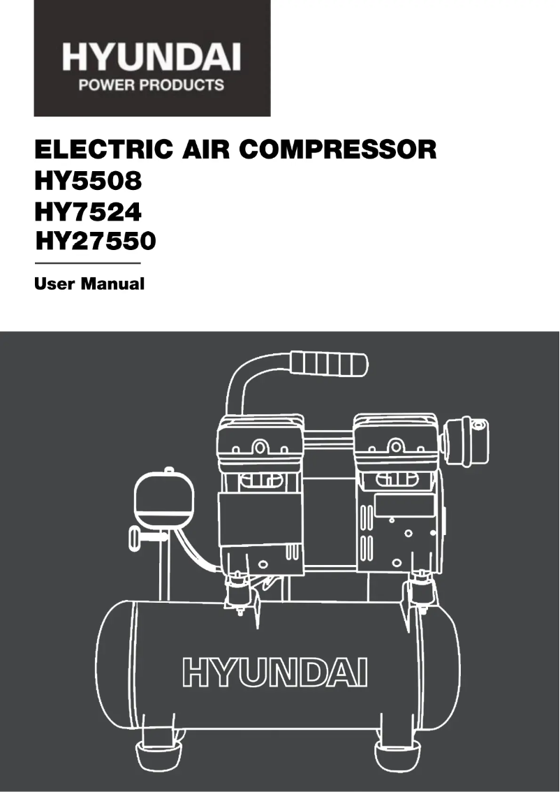 Page 1 de la notice Manuel utilisateur Hyundai HY7524