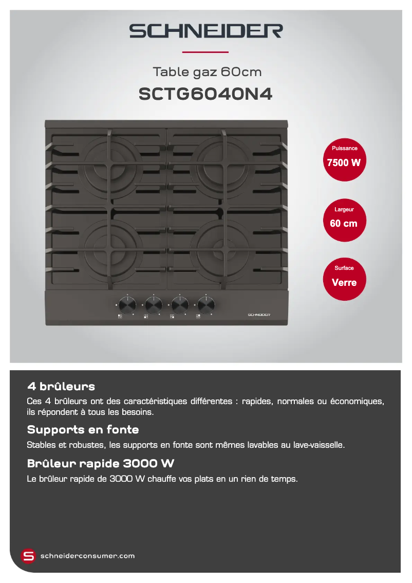 Página 1 del manual Ficha técnica Schneider SCTG6040N4