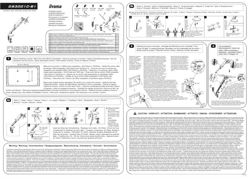 Page n°1 - Manuel utilisateur Iiyama DSG3001C-R1