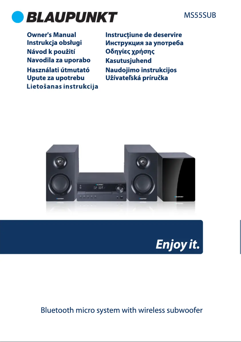 Page 1 de la notice Manuel utilisateur Blaupunkt MS55SUB