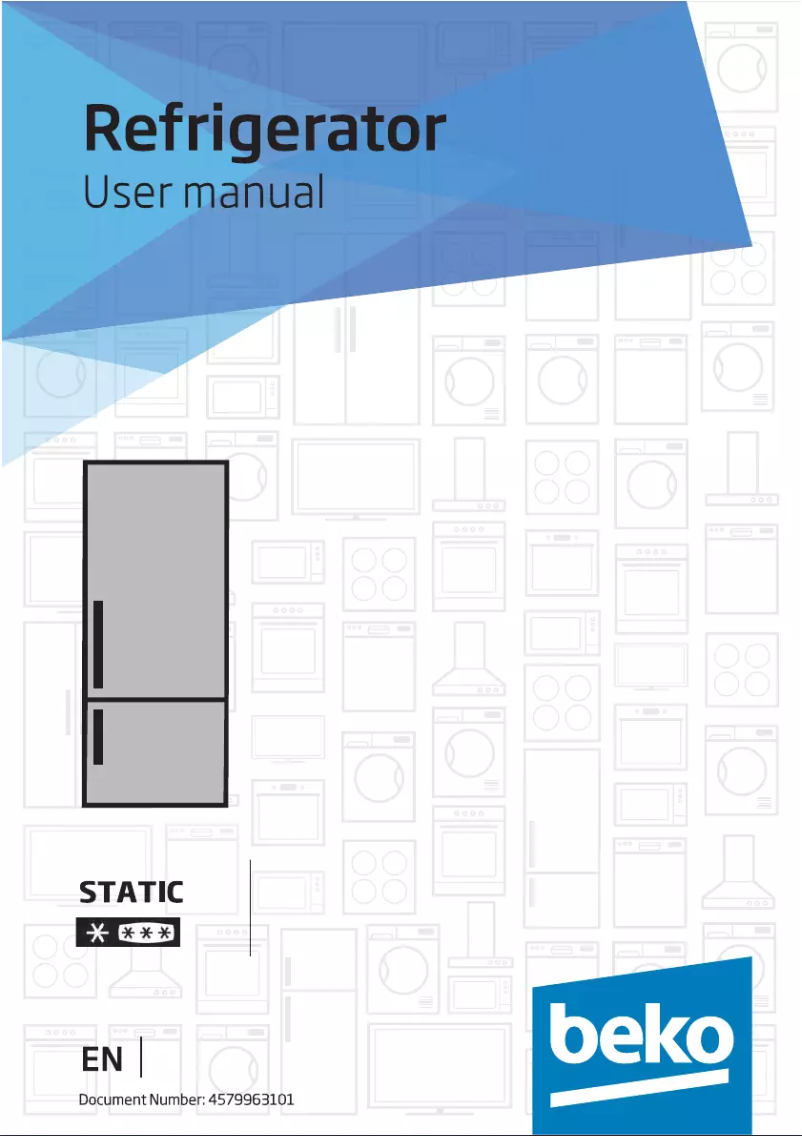Image de la première page du manuel de l'appareil DS333020