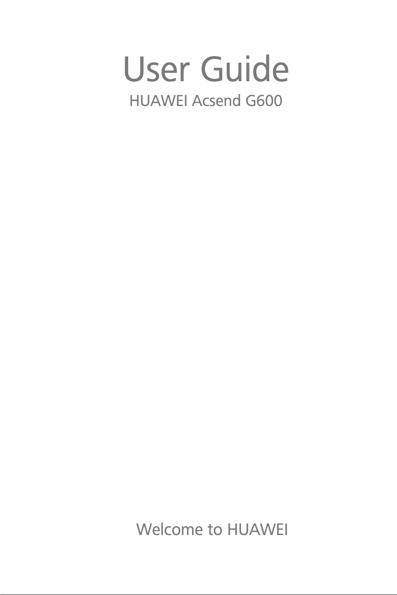 Image de la première page du manuel de l'appareil Acsend G600