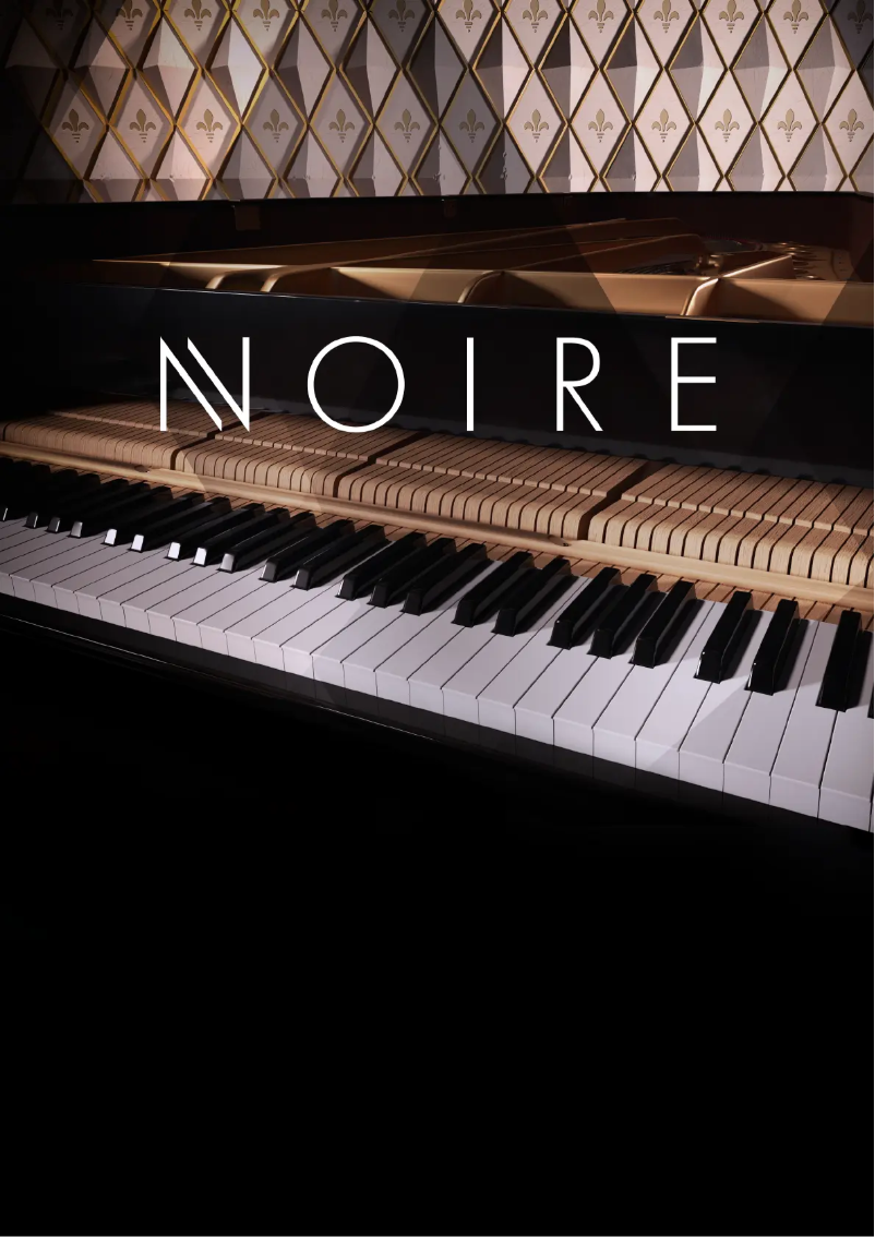 Page n°1 - Manuel utilisateur Native Instruments Noire