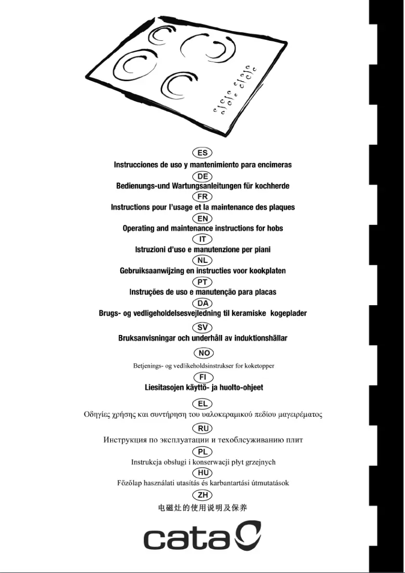Page 1 de la notice Manuel utilisateur CATA TDN 603
