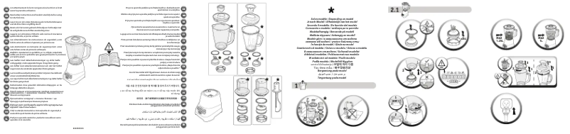 Image de la première page du manuel de l'appareil Blendforce 2 BL477B