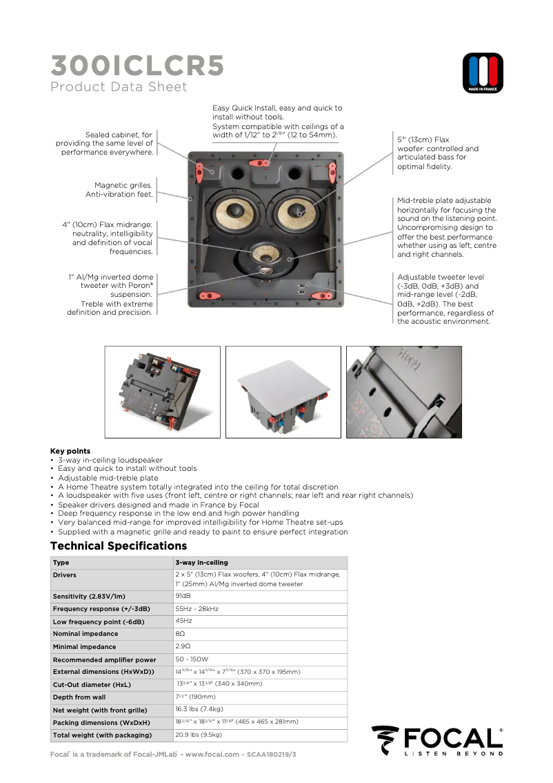 Página 1 del manual Ficha técnica Focal 300 ICLCR 5