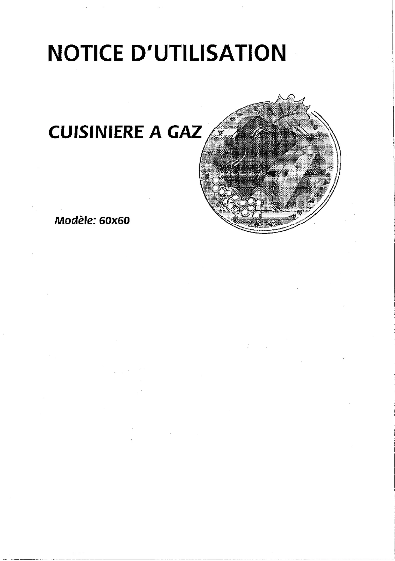 Page n°1 - Manuel utilisateur Bluesky BCV 5060