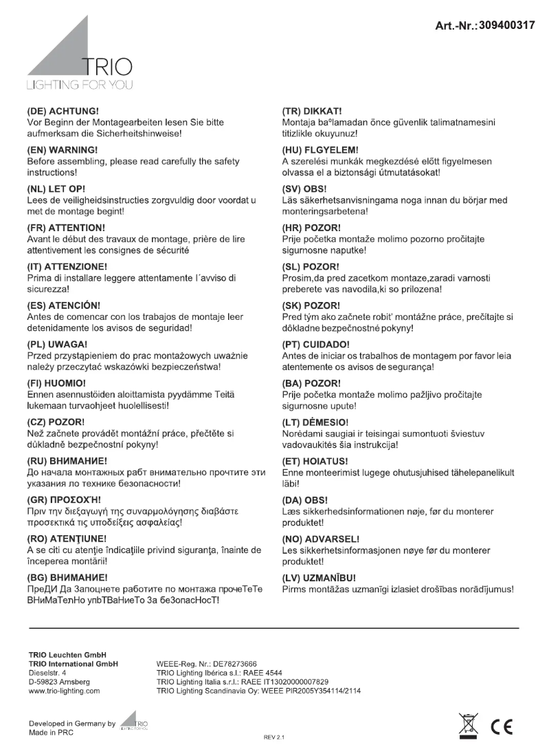 Page 1 of the manual User Manual Trio Lighting Ibis 309400317