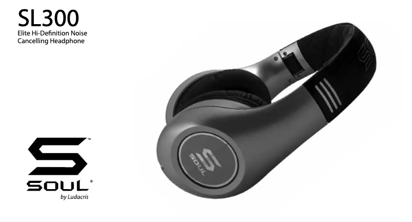 Image de la première page du manuel de l'appareil SL300WB