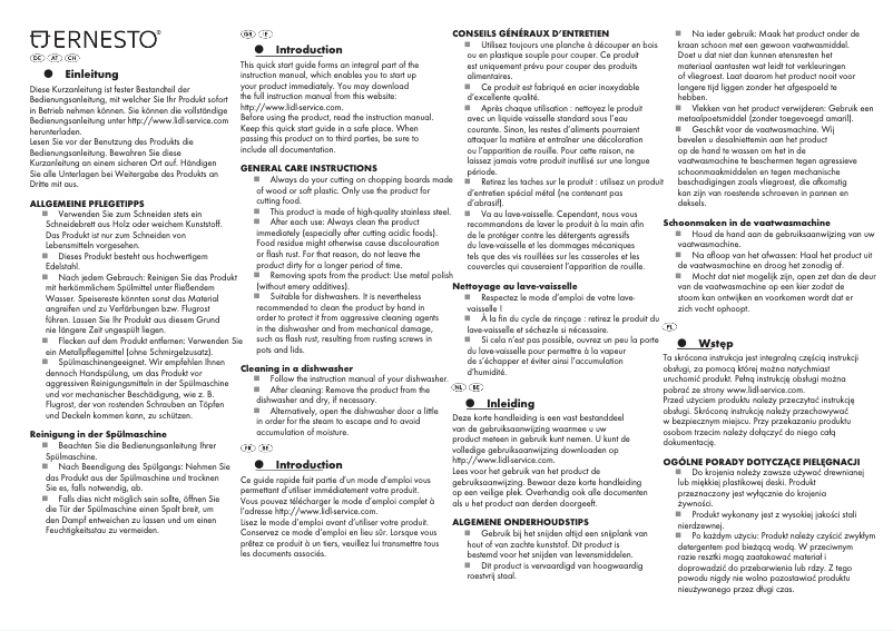 Page 1 de la notice Manuel utilisateur Ernesto IAN 366587