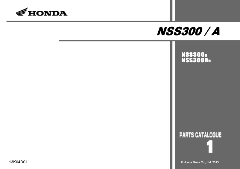 Image de la première page du manuel de l'appareil NSS300 (2013)
