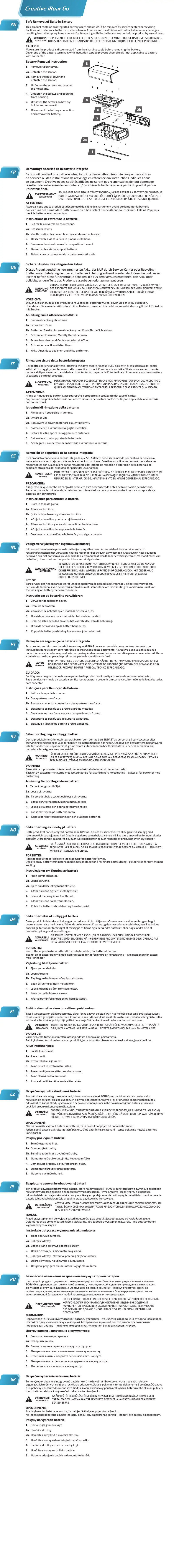 Image de la première page du manuel de l'appareil iRoar Go